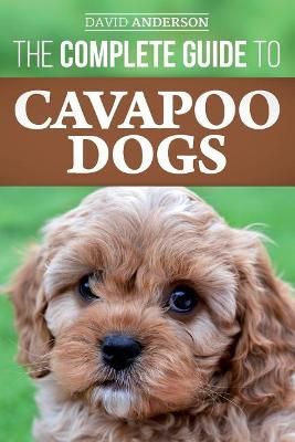 Picture of The Complete Guide to Cavapoo Dogs: Everything you need to know to successfully raise and train your new Cavapoo puppy