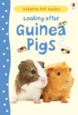 Picture of Looking after Guinea Pigs