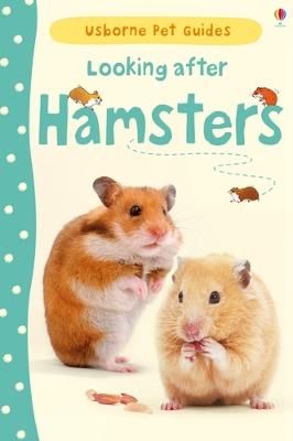 Picture of Looking after Hamsters