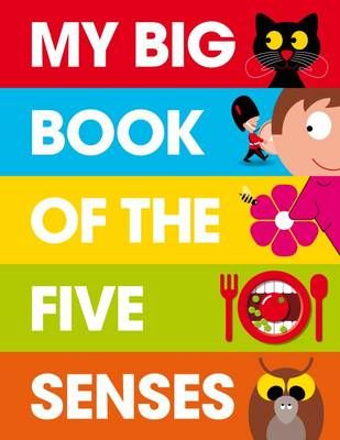 Picture of My Big Book of the Five Senses