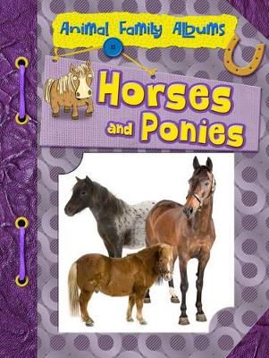 Picture of Horses and Ponies