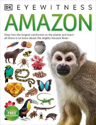 Picture of Amazon