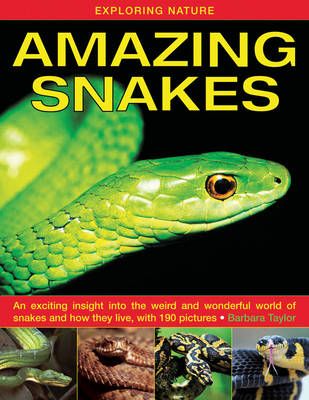 Picture of Exploring Nature: Amazing Snakes: an Exciting Insight into the Weird and Wonderful World of Snakes and How They Live, with 190 Pictures