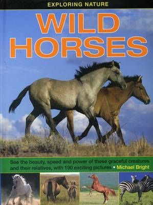 Picture of Exploring Nature: Wild Horses