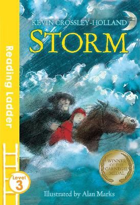 Picture of Storm (Reading Ladder Level 3)