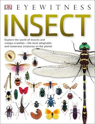 Picture of Insect: Explore the world of insects and creepy-crawlies - the most adaptable and numerous creatures on the planet