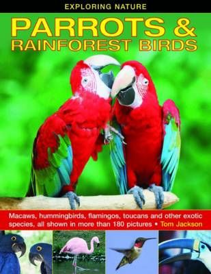 Picture of Exploring Nature: Parrots & Rainforest Birds