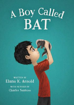 Picture of A Boy Called Bat