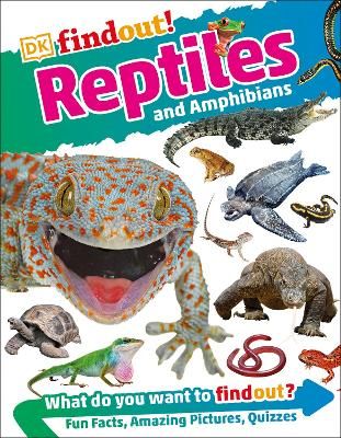 Picture of DKfindout! Reptiles and Amphibians