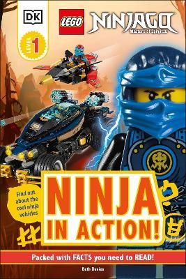 Picture of LEGO NINJAGO Ninja in Action!