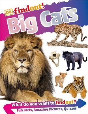 Picture of DKfindout! Big Cats