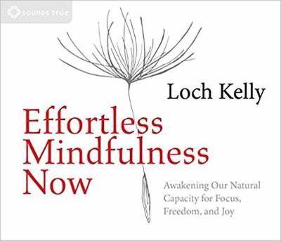Picture of Effortless Mindfulness Now: Awakening Our Natural Capacity for Focus, Freedom, and Joy