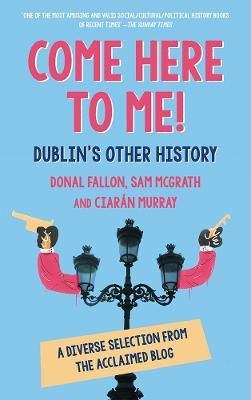 Picture of Come Here to Me!: Dublin's Other History