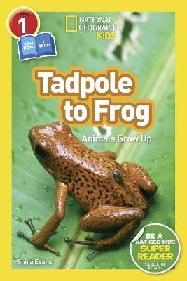 Picture of National Geographic Kids Readers: Tadpole to Frog (L1/Co-reader) (Readers)