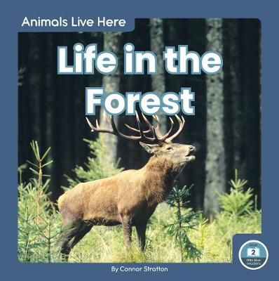 Picture of Animals Live Here: Life in the Forest