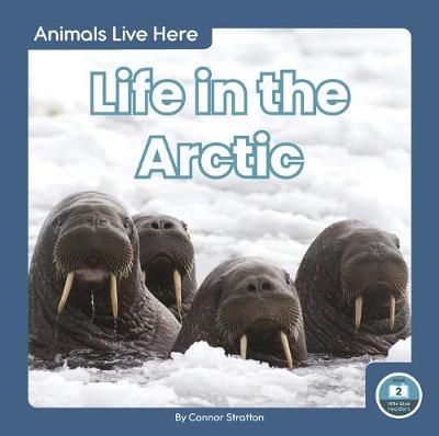 Picture of Animals Live Here: Life in the Arctic