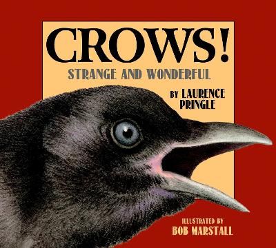 Picture of Crows!: Strange and Wonderful