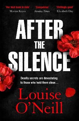 Picture of After the Silence: The An Post Irish Crime Novel of the Year