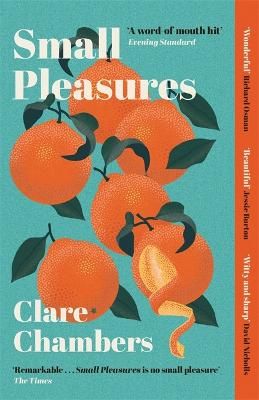 Picture of Small Pleasures: Longlisted for the Women's Prize for Fiction 2021