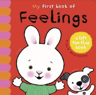 Picture of My First Book of Feelings