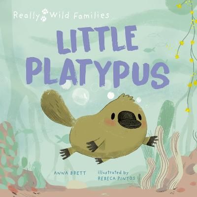 Picture of Little Platypus: A Day in the Life of a Platypus Puggle