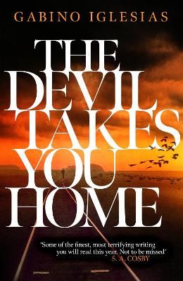 Picture of The Devil Takes You Home: the acclaimed up-all-night thriller
