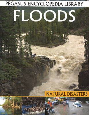 Picture of Floods: Pegasus Encyclopedia Library