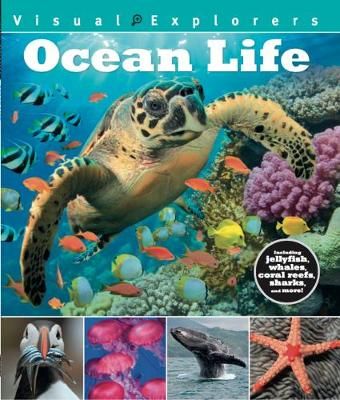 Picture of Ocean Life