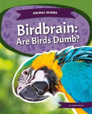 Picture of Animal Idioms: Birdbrain: Are Birds Dumb?