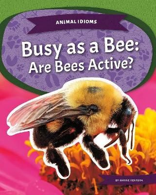 Picture of Animal Idioms: Busy as a Bee: Are Bees Active?