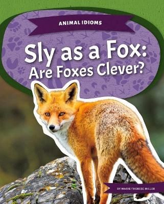 Picture of Animal Idioms: Sly as a Fox: Are Foxes Clever?