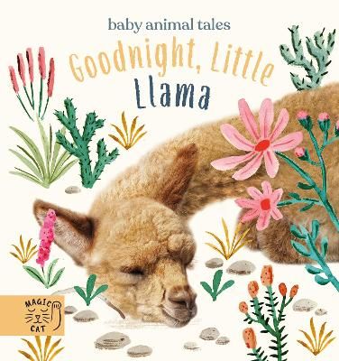 Picture of Goodnight, Little Llama: A book about being a good friend