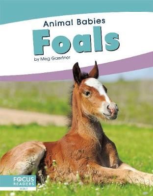 Picture of Animal Babies: Foals