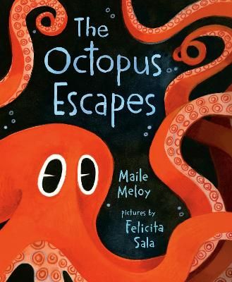Picture of The Octopus Escapes