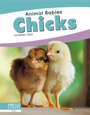 Picture of Animal Babies: Chicks