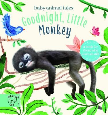 Picture of Goodnight, Little Monkey: A book for those who can't sit still