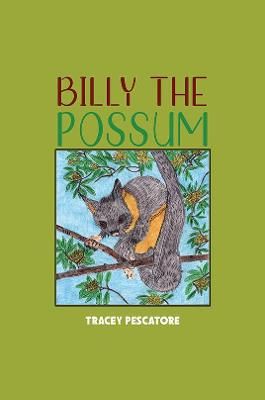 Picture of Billy the Possum