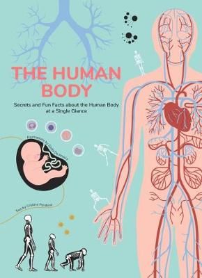 Picture of Human Body: Secrets and Fun Facts About the Human Body at a Single Glance