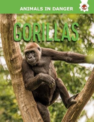 Picture of Gorillas