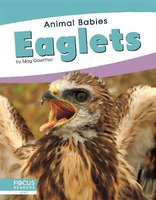 Picture of Animal Babies: Eaglets