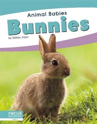 Picture of Animal Babies: Bunnies