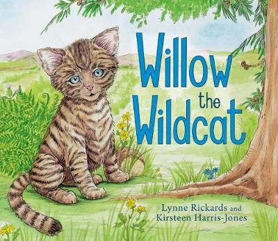 Picture of Willow the Wildcat
