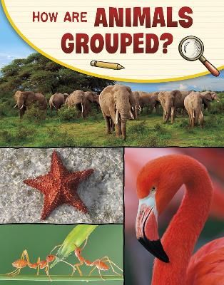 Picture of How Are Animals Grouped?