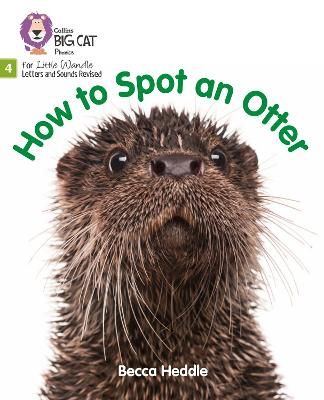 Picture of Big Cat Phonics for Little Wandle Letters and Sounds Revised - How to Spot an Otter: Phase 4 Set 2