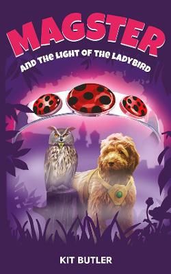 Picture of Magster and the Light of the Ladybird