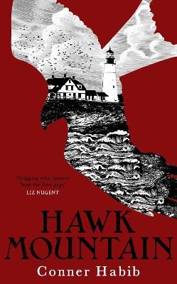 Picture of Hawk Mountain: A highly suspenseful and unsettling literary thriller