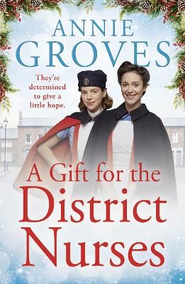 Picture of A Gift for the District Nurses (The District Nurses, Book 4)