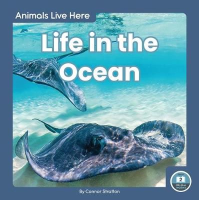 Picture of Animals Live Here: Life in the Ocean