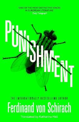 Picture of Punishment: The gripping international bestseller