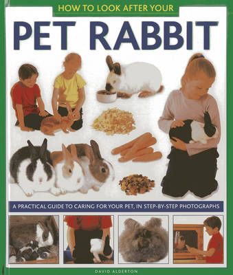 Picture of How to Look After Your Pet Rabbit